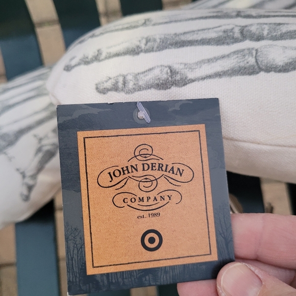 New John Derian XL Skeleton pillow home decor goth Gothic apothecary skull - Picture 9 of 10